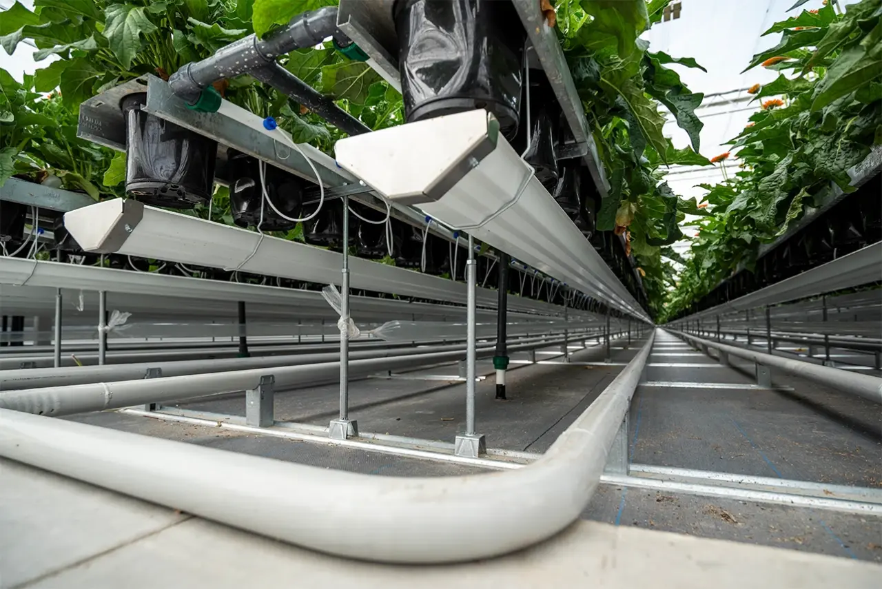 5 header voeding afvoer Kwekerij de Zuidplas