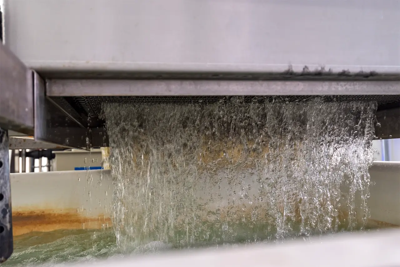Water filteren Kwekerij de Zuidplas